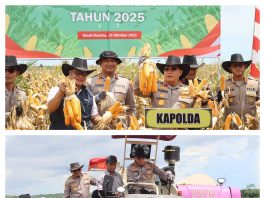Kapolda Kalsel Pimpin Panen Raya Jagung Serentak di Tanah Bumbu